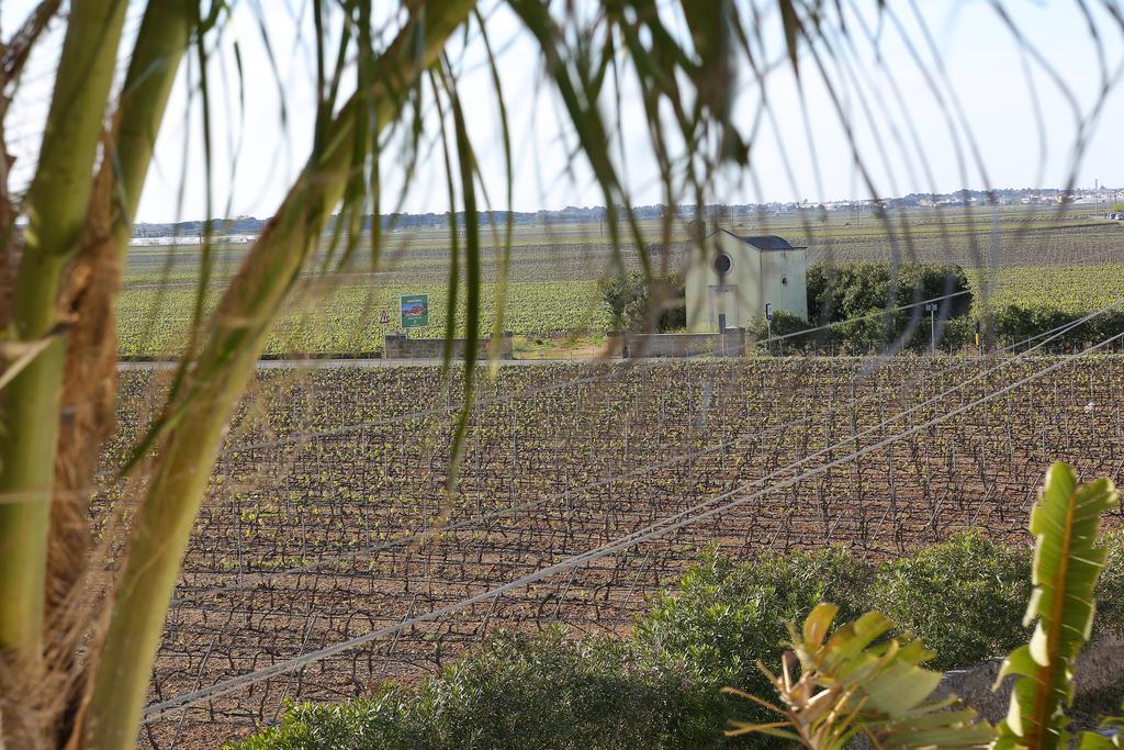 Bed and Breakfast Eco Green La Vigna Leverano Zimmer foto